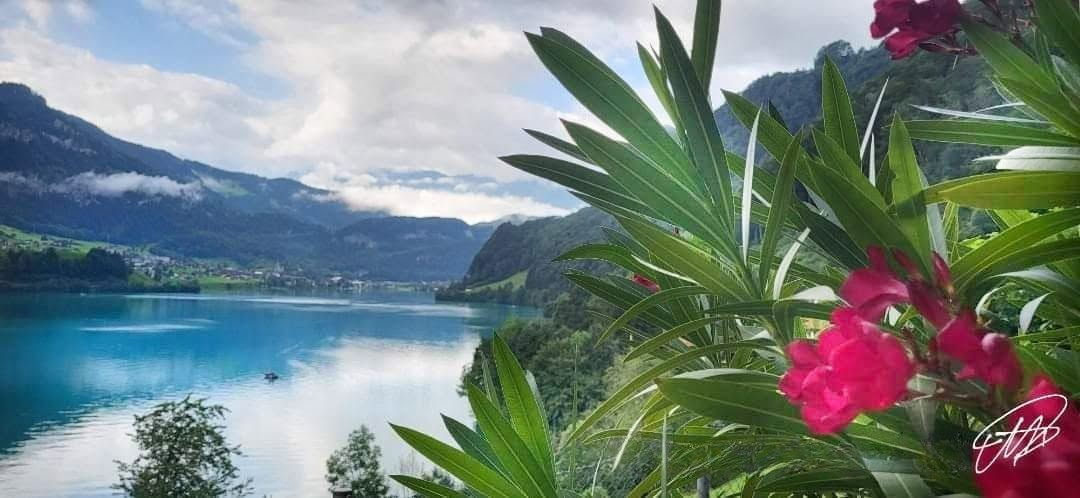 Lungerersee mit Bergen und blühendem Oleander