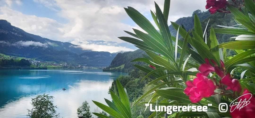 Lungerersee