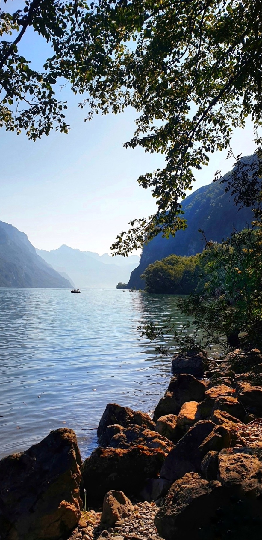 Walensee im Morgenlicht zwischen bewaldeten Berghängen
