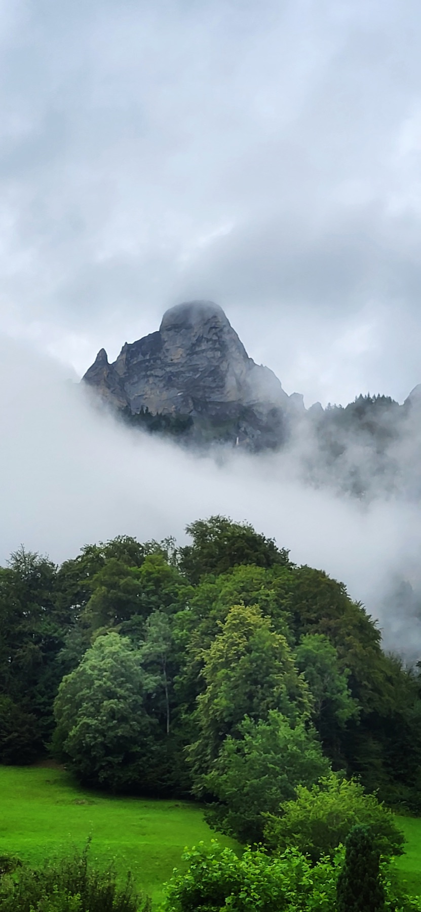 Felsiger Berggipfel zwischen Nebel und grünen Bäumen