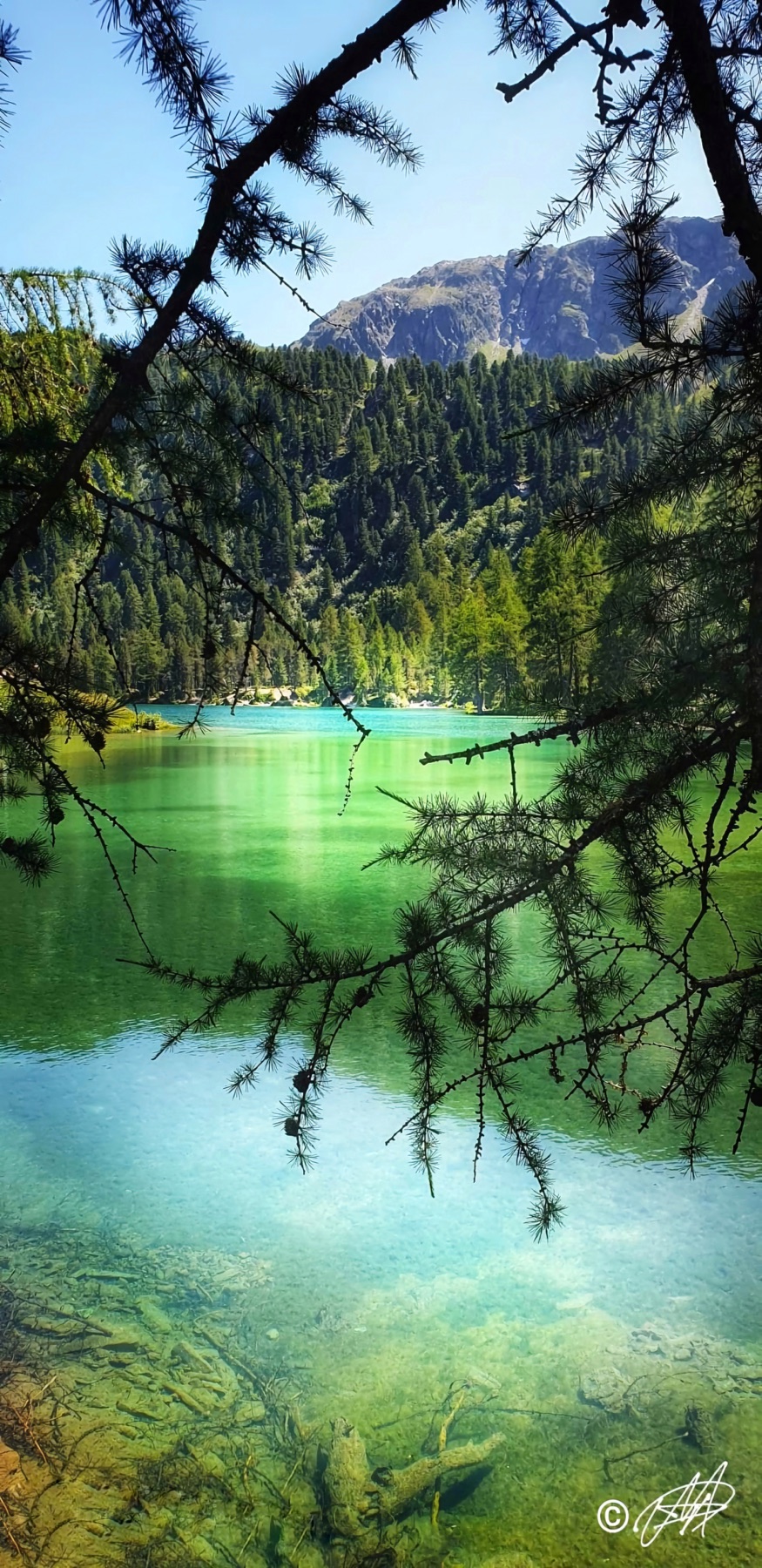 Türkisgrüner Bergsee, eingerahmt von Lärchen und Bergen