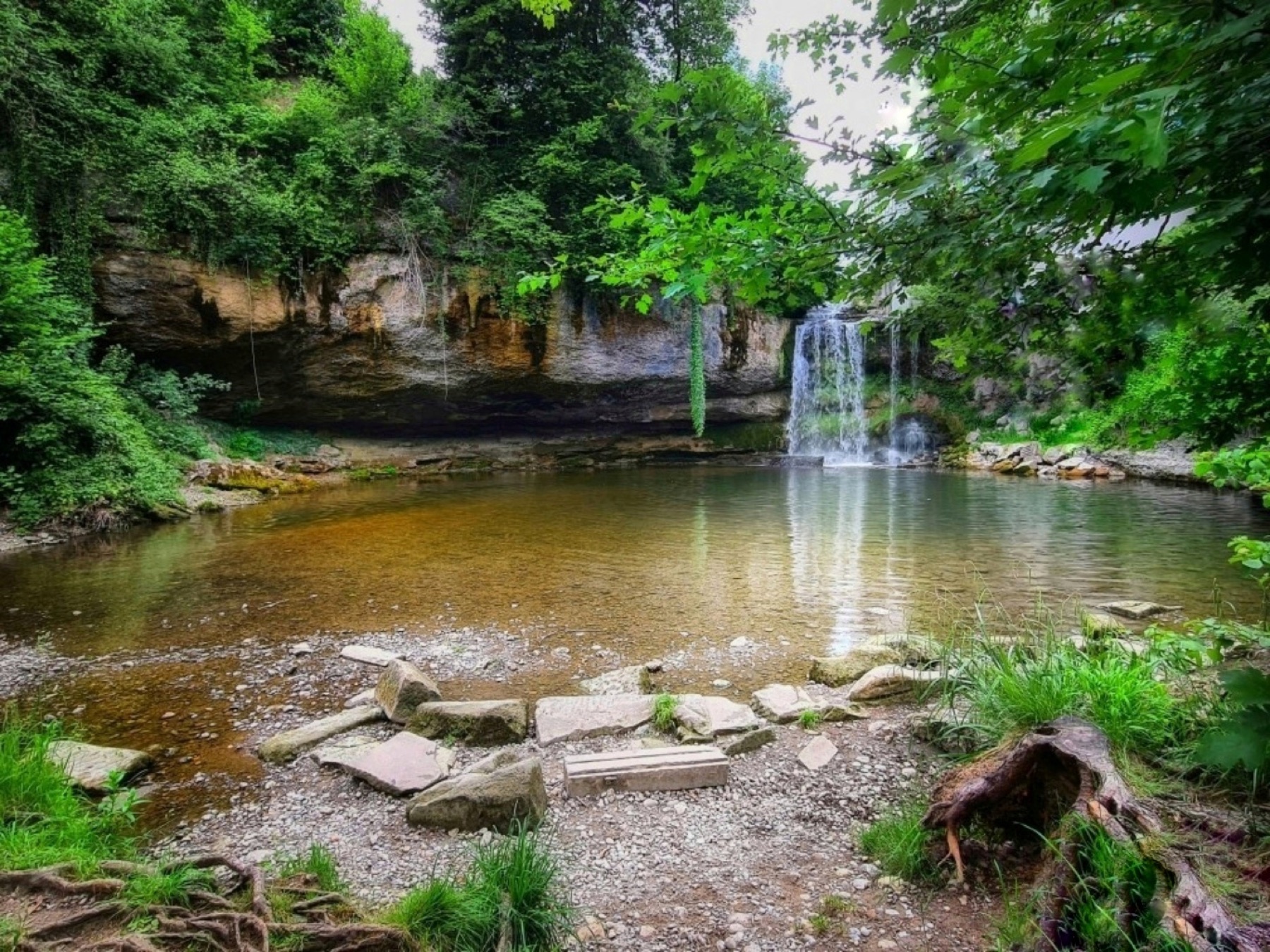 Wasserfall in einem grünen Wald mit ruhigem Becken