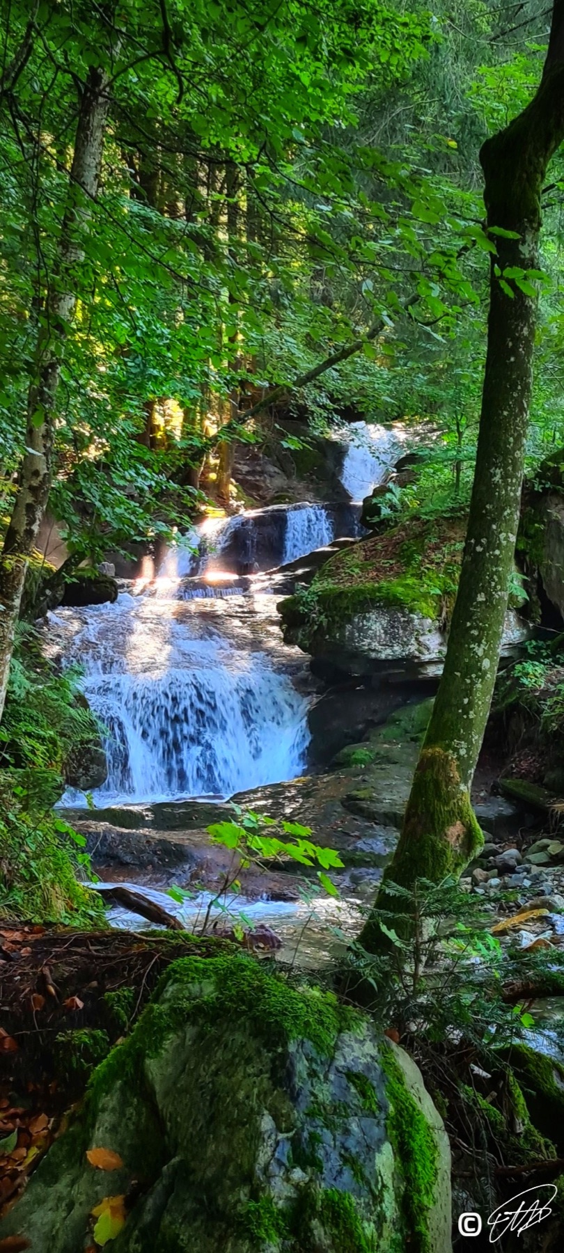 Mehrstufiger Wasserfall in einem dichten Wald