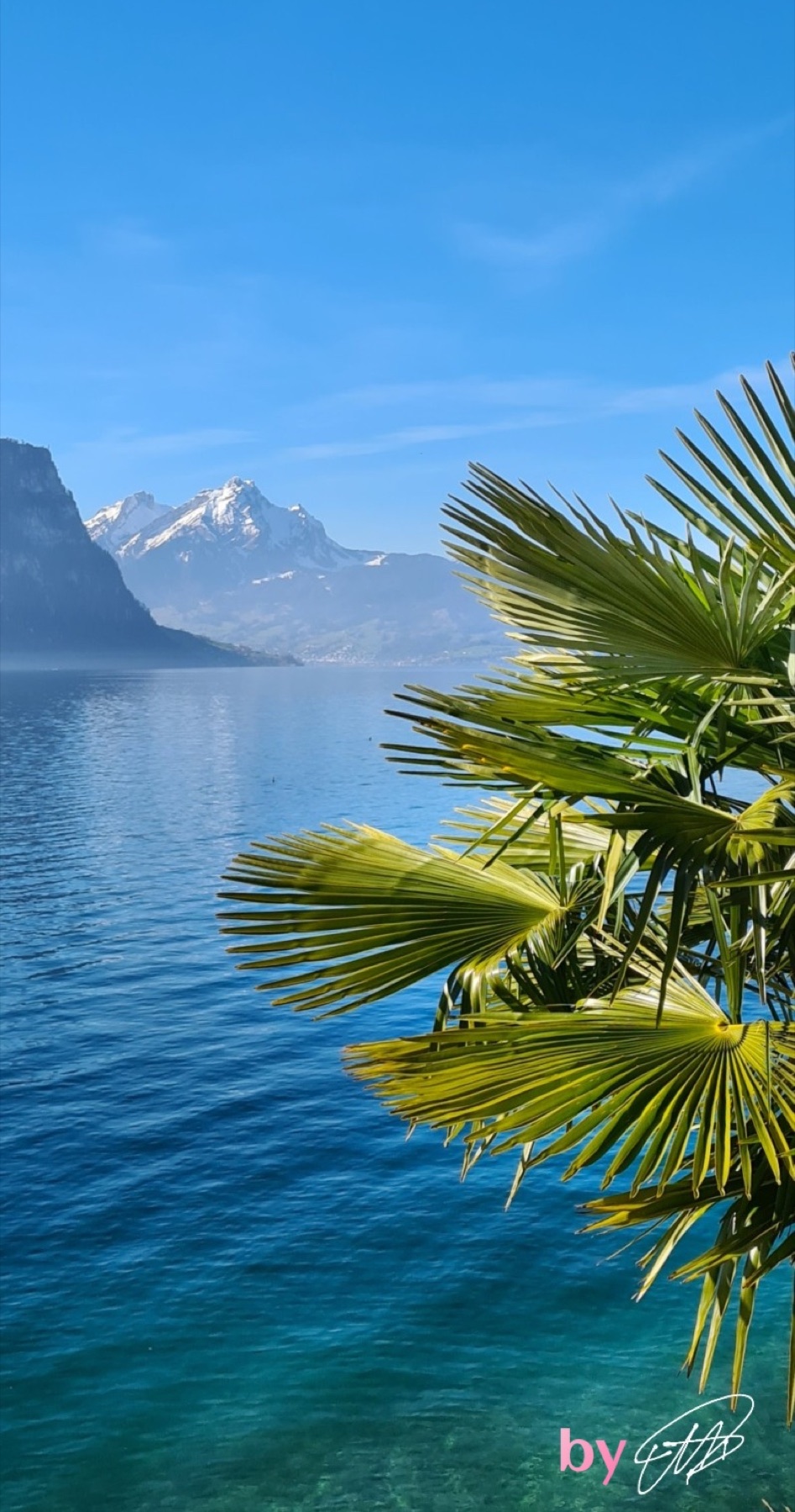 Blauer See mit Palmen im Vordergrund und Bergen am Horizont