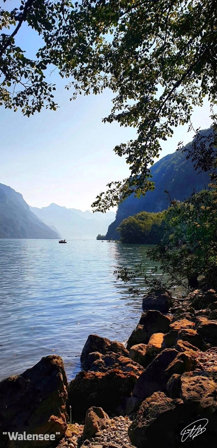 Walensee zwischen Berghängen und Bäumen
