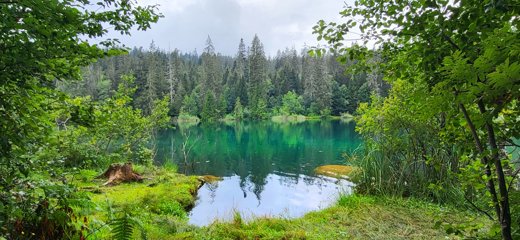 Lag la Cresta, umgeben von dichtem grünen Wald
